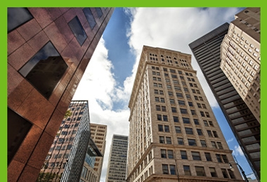 Commercial Pest Control